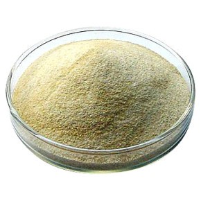 EG Alginate de Sodium/Bicarbonate de Sodium EG 24 sachets